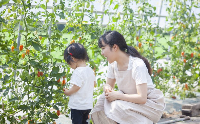 家庭菜園でフルーツ栽培。イチゴやキウイフルーツを育てよう！
