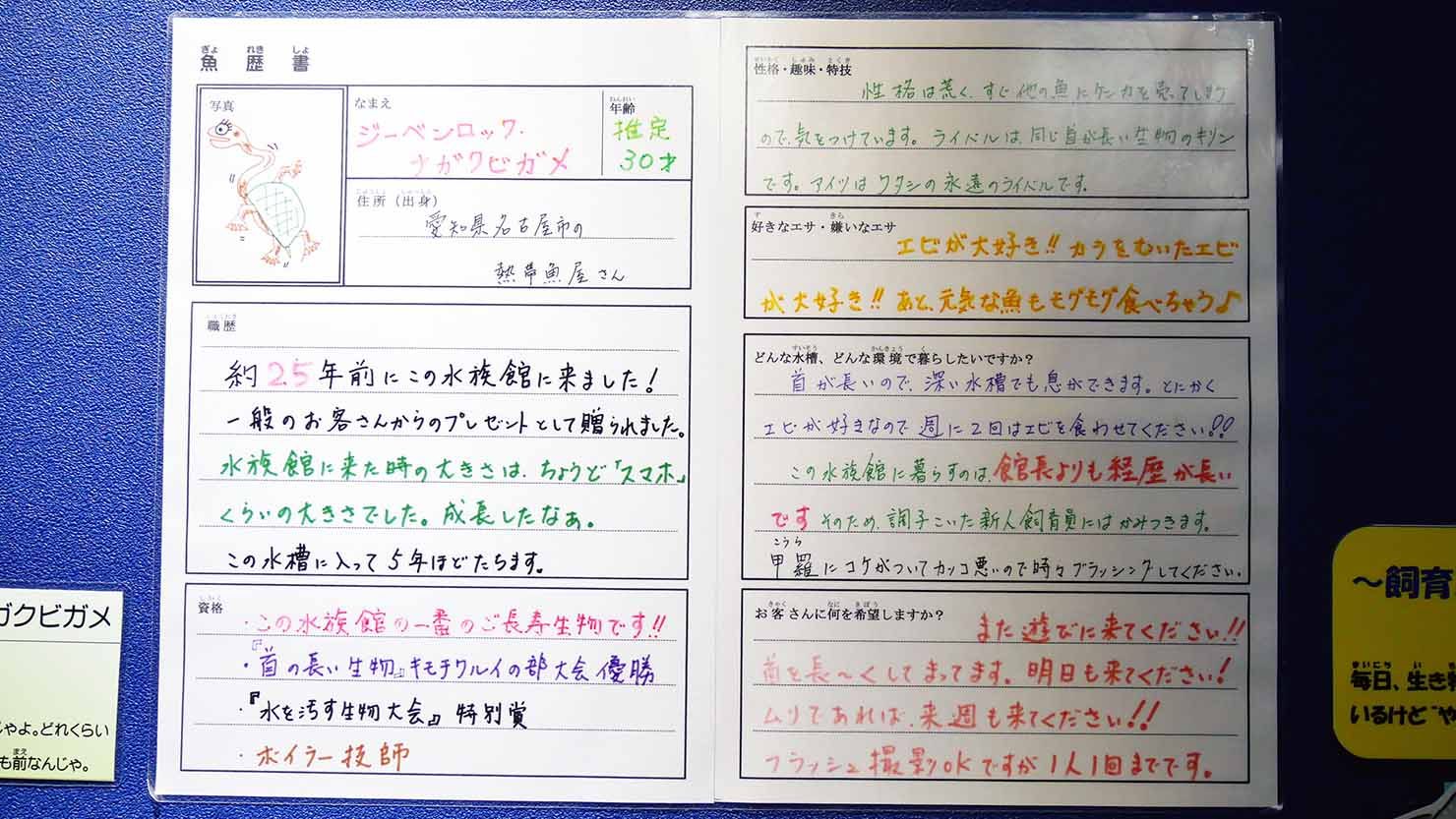 手描きの魚歴書