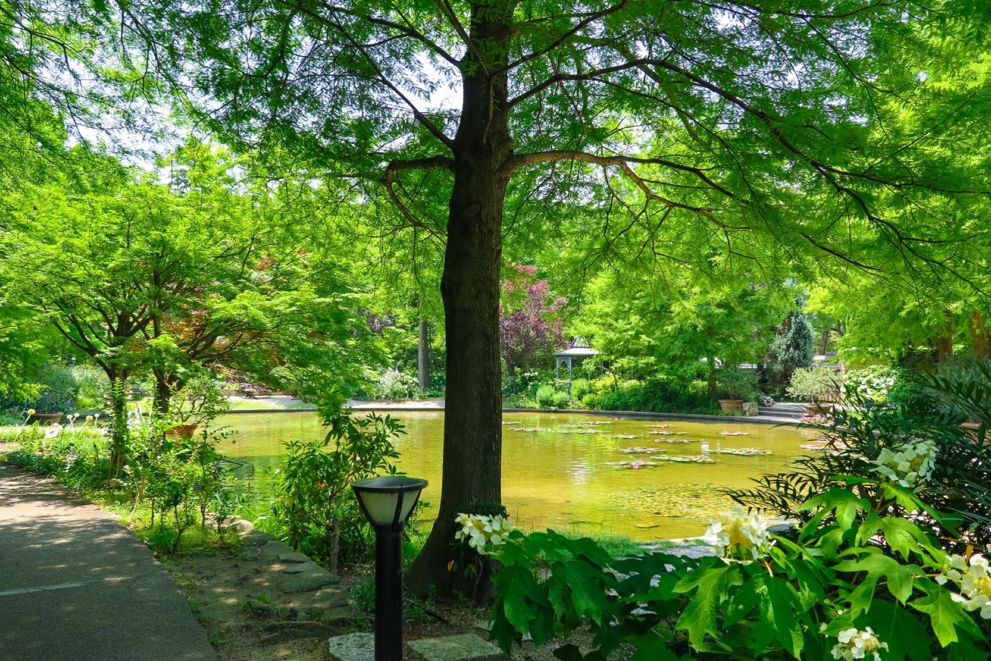 緑豊かで暮らしやすい名古屋市。家族で出かけたい大きな公園を紹介します