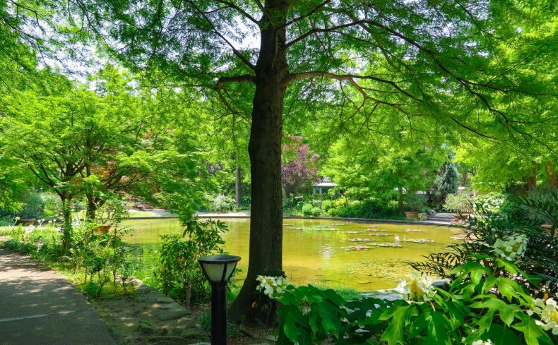 緑豊かで暮らしやすい名古屋市。家族で出かけたい大きな公園を紹介します