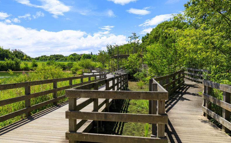自然豊かな奈良県で子育てしています。お出かけが楽しくなる大きな公園をご紹介