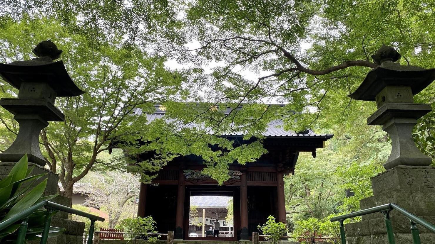 大町にある大好きなお寺、妙本寺