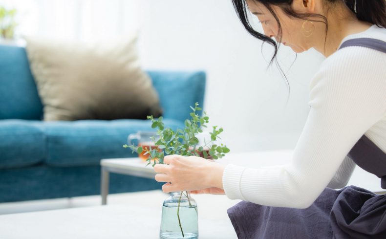 一人暮らしにおすすめの観葉植物は？ お手入れ方法と育て方まとめ