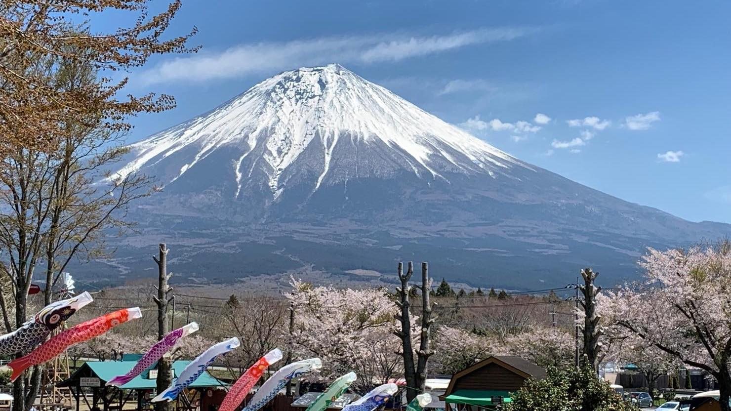 こいのぼりと富士山のコラボレーション