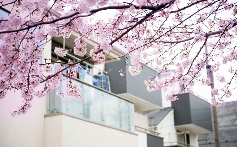 窓から桜が見える暮らし。#グッとくる景色 のお部屋を見つけよう