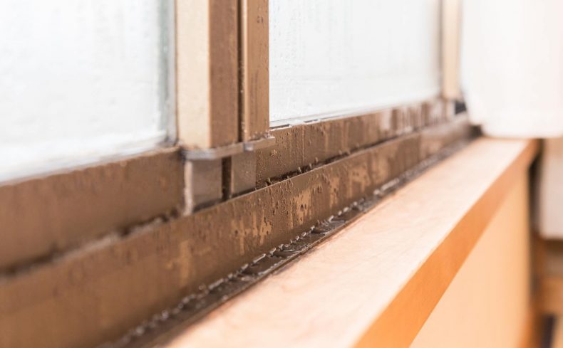 窓の結露対策、本当に効果のあった方法は？わが家の結露対策奮闘記