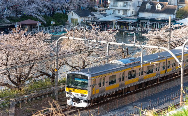 総武線沿線で一人暮らしにおすすめの3駅！家賃相場の安い【平井・新小岩・阿佐ケ谷】の住みやすさ