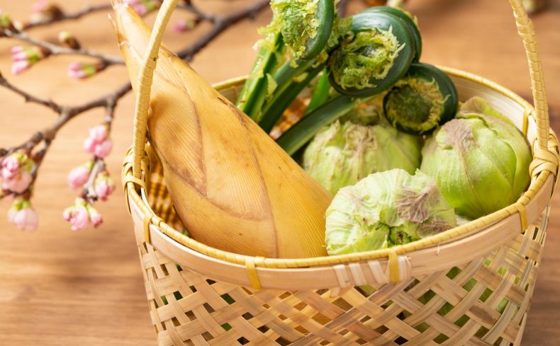 春はおいしい野菜が豊富！ 春野菜で心も体も健やかに暮らそう