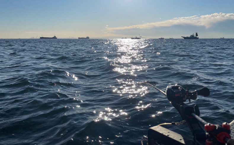 春に釣れる魚とおすすめの調理法！ メバル、真鯛、真鯵など旬の味を楽しもう