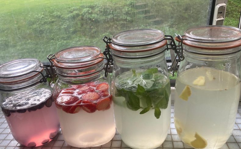 腸を健康にする爽やか乳酸飲料「ウォーターケフィア」を作ってみよう