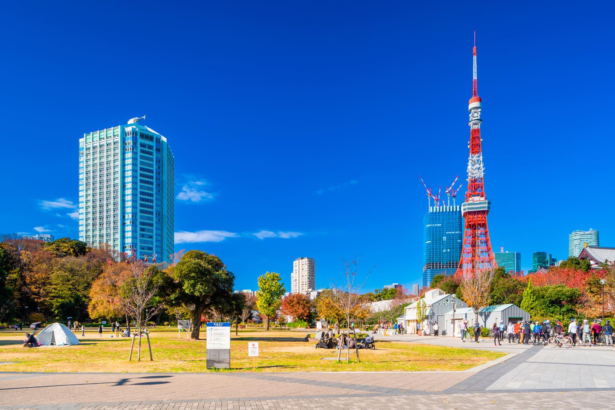 東京の子育て体験談【特集】子育てしやすく快適に暮らせる街はどこ？