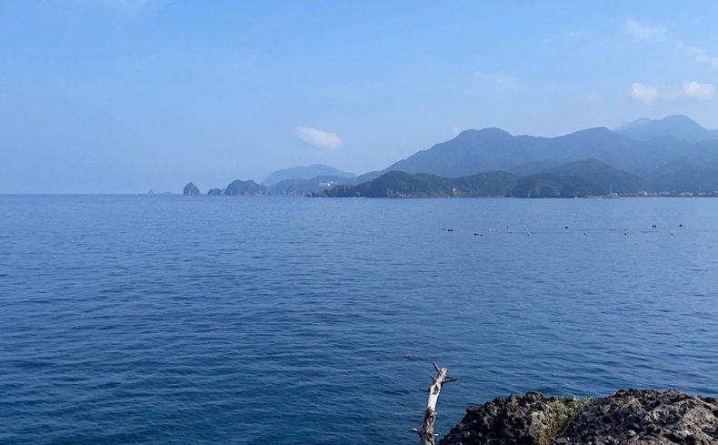 夏に釣れる魚のおすすめ調理方法を紹介！タチウオなど旬の味を楽しもう
