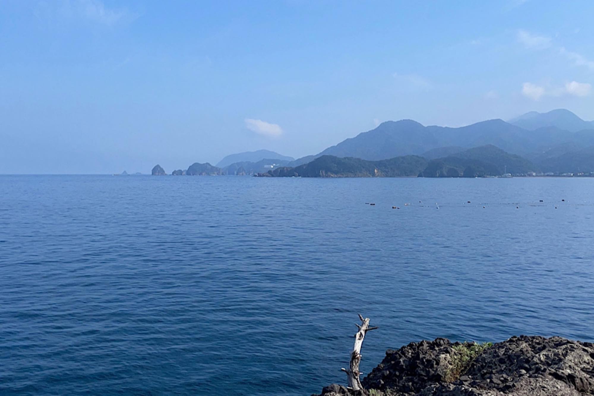 夏に釣れる魚のおすすめ調理方法を紹介！タチウオなど旬の味を楽しもう