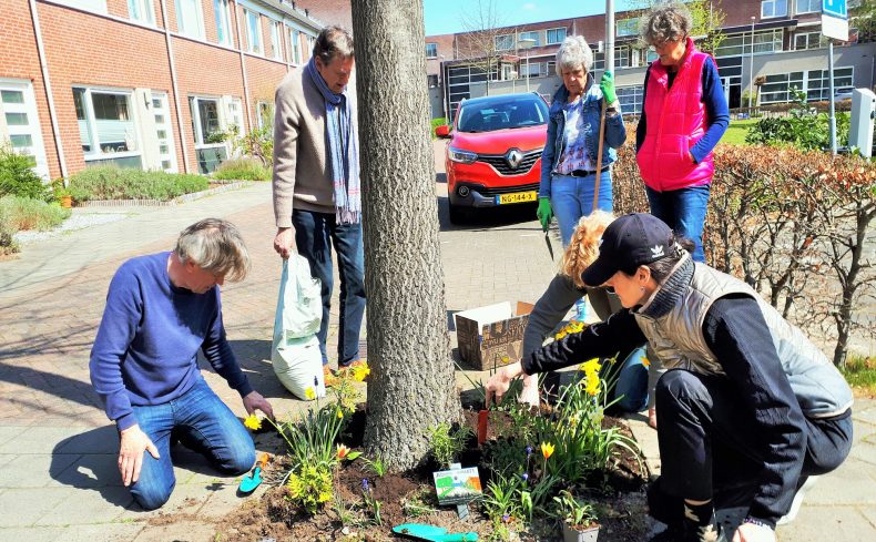 住宅地にも花がいっぱい！ オランダ流ご近所コミュニティの作り方