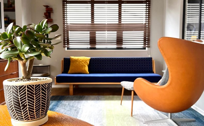 初心者でも育てやすい「カネノナルキ」。癒やしと自信をくれる多肉植物