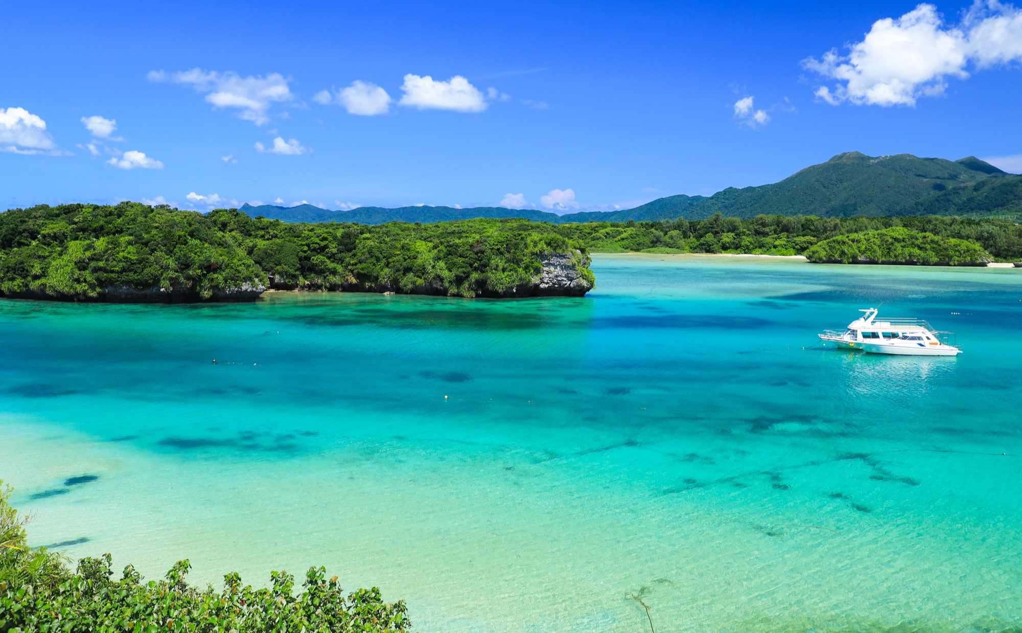 【特集】夏を涼しくするには？空間の作り方やアクティビティをご紹介