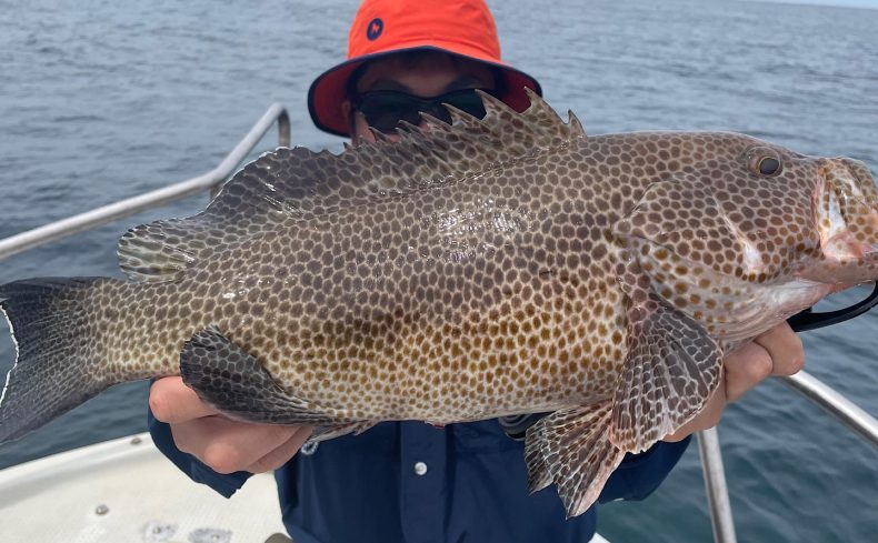 釣り人に人気の「ロックフィッシュゲーム」を攻略しよう！ 釣り歴19年の私が教える釣り方のコツ