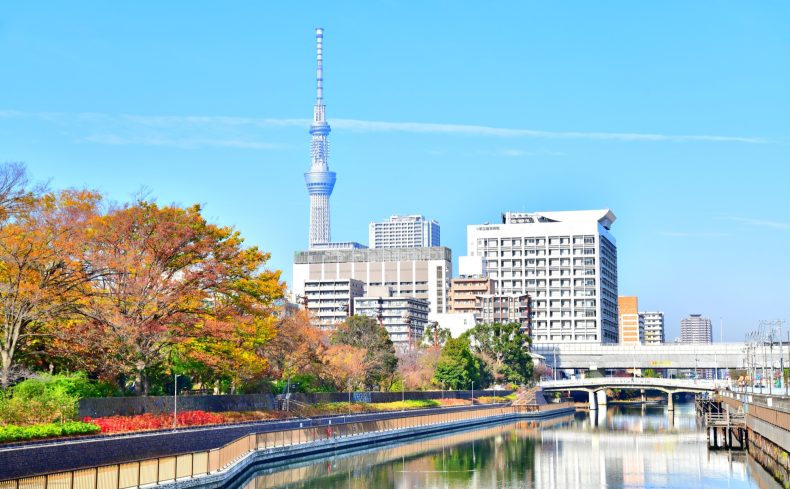 【特集】東京周辺の大きな公園のある街。家族で一日楽しめる公園の近くで暮らそう
