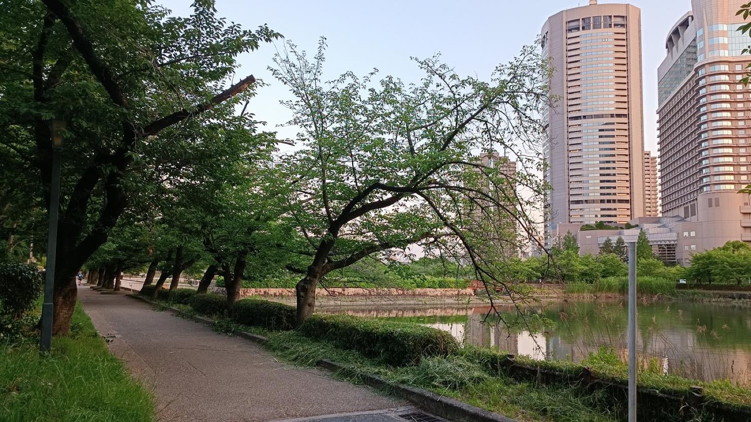 毛馬桜ノ宮公園