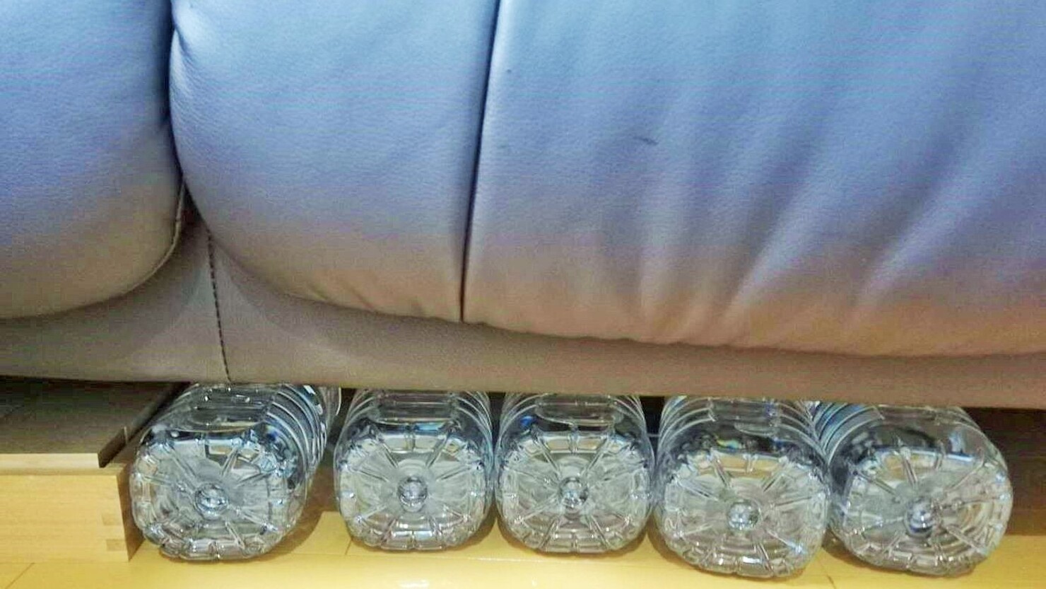 ソファー下のデッドスペースを有効活用　　©Satoko Kamisawa