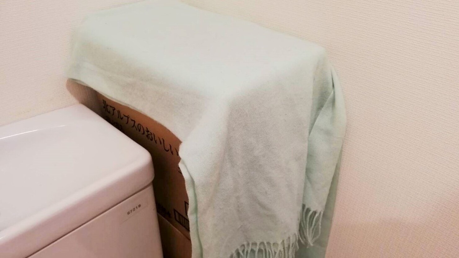 トイレタンクの横の隙間に18本。普段は布カバーをかけている　©Satoko Kamisawa