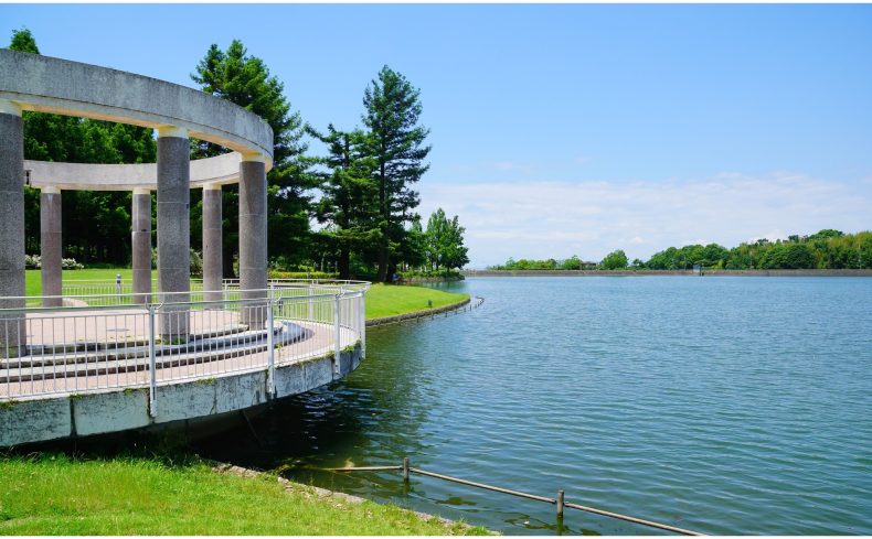 【特集】関西で大きい公園がある街は？家族で1日遊べる公園の近くで暮らそう