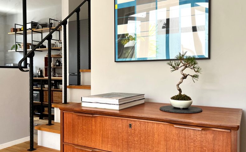 「盆栽」は自然とつながる生きたアート。趣味としての魅力や育て方を紹介