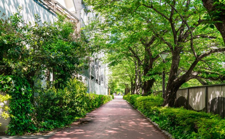 東京都目黒区「中目黒駅」の住みやすさと魅力。四季折々の自然を都心で満喫できる、暮らしが豊かになる街
