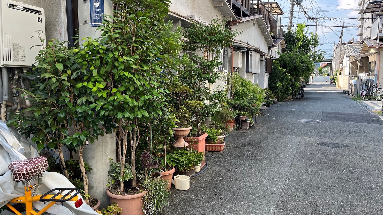 普段は見過ごしそうな光景も目を向けてみるとおもしろい。小さな鉢植えでいちじくやザクロ、ブドウがなっている家までありさまざま