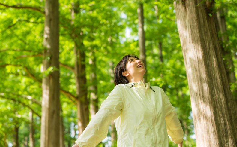 「京都」の森林浴スポット“10選”～森の香りに満たされる～