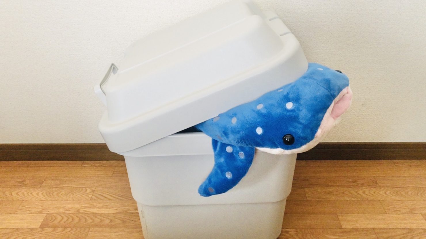 蓋付きハードボックス