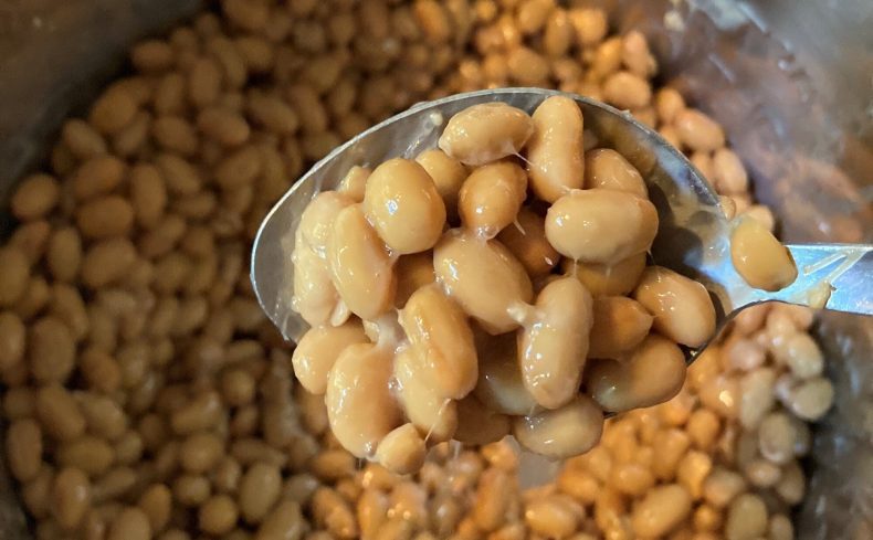 インスタントポットで自家製納豆を作ってみた！ロンドンでも和食を楽しめる暮らし