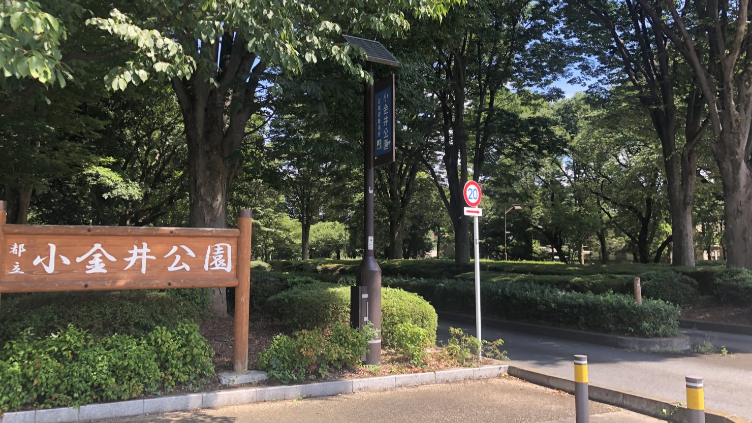 小金井公園