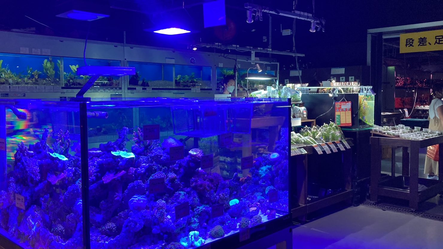 トロピランド店内