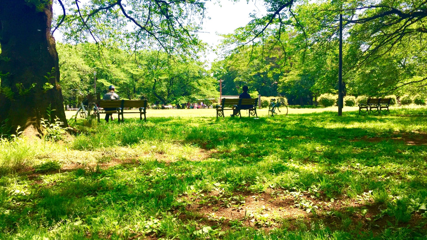 都立小金井公園