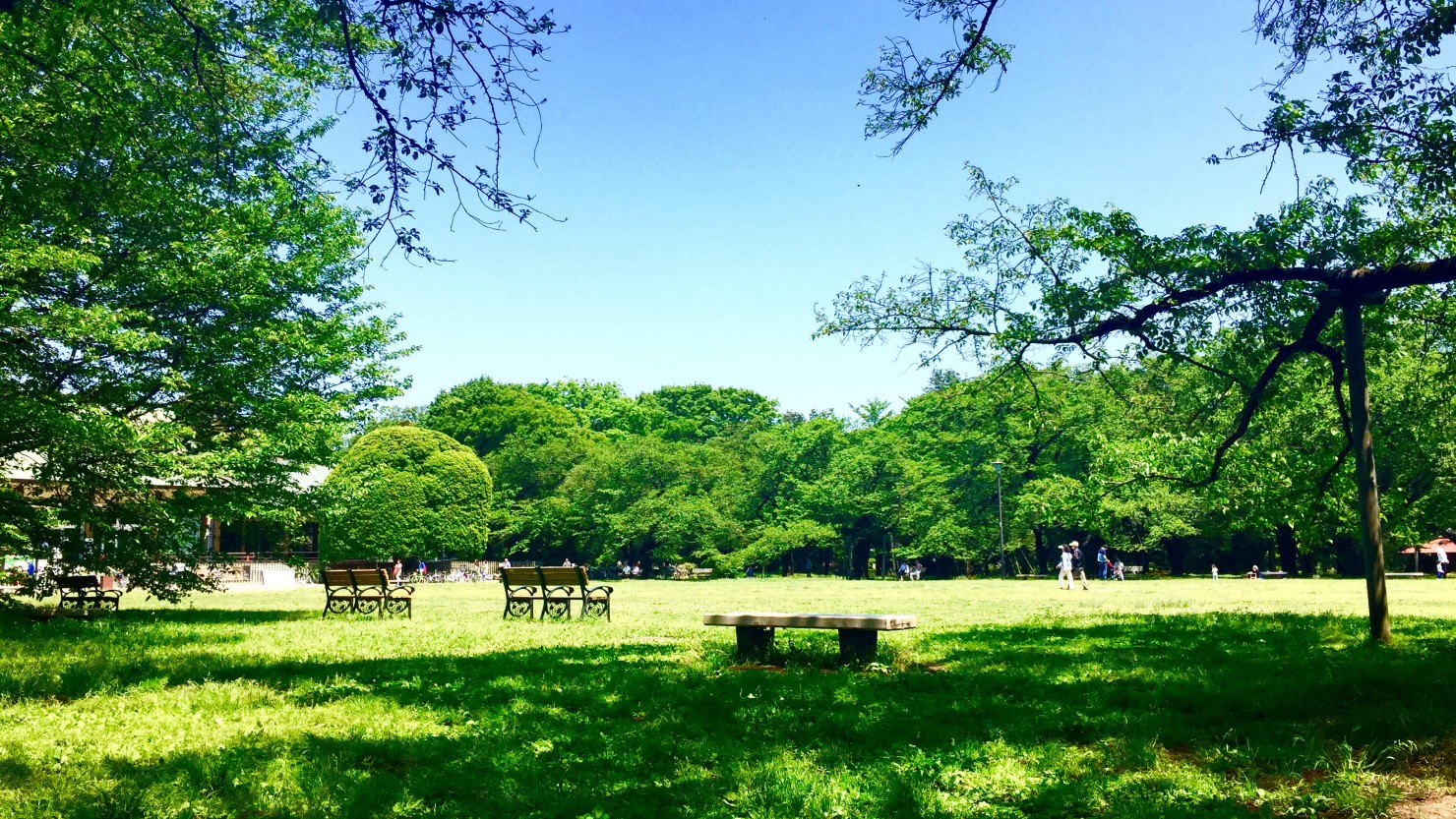 都立小金井公園