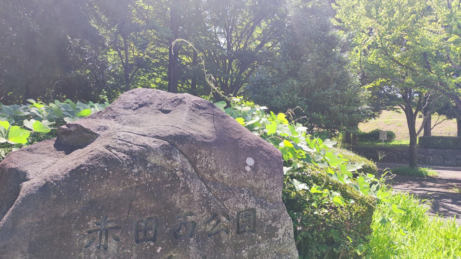 赤田西公園
