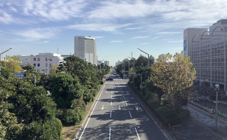 アミューズメントライン京葉線！15年以上沿線で暮らす私が京葉線の住みやすさを紹介