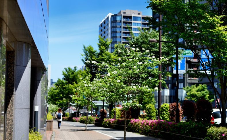 東京都渋谷区「代々木上原駅」周辺の住みやすさは？3年住む住民が街の魅力を解説