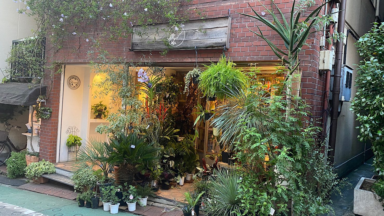 ムギハナの外観