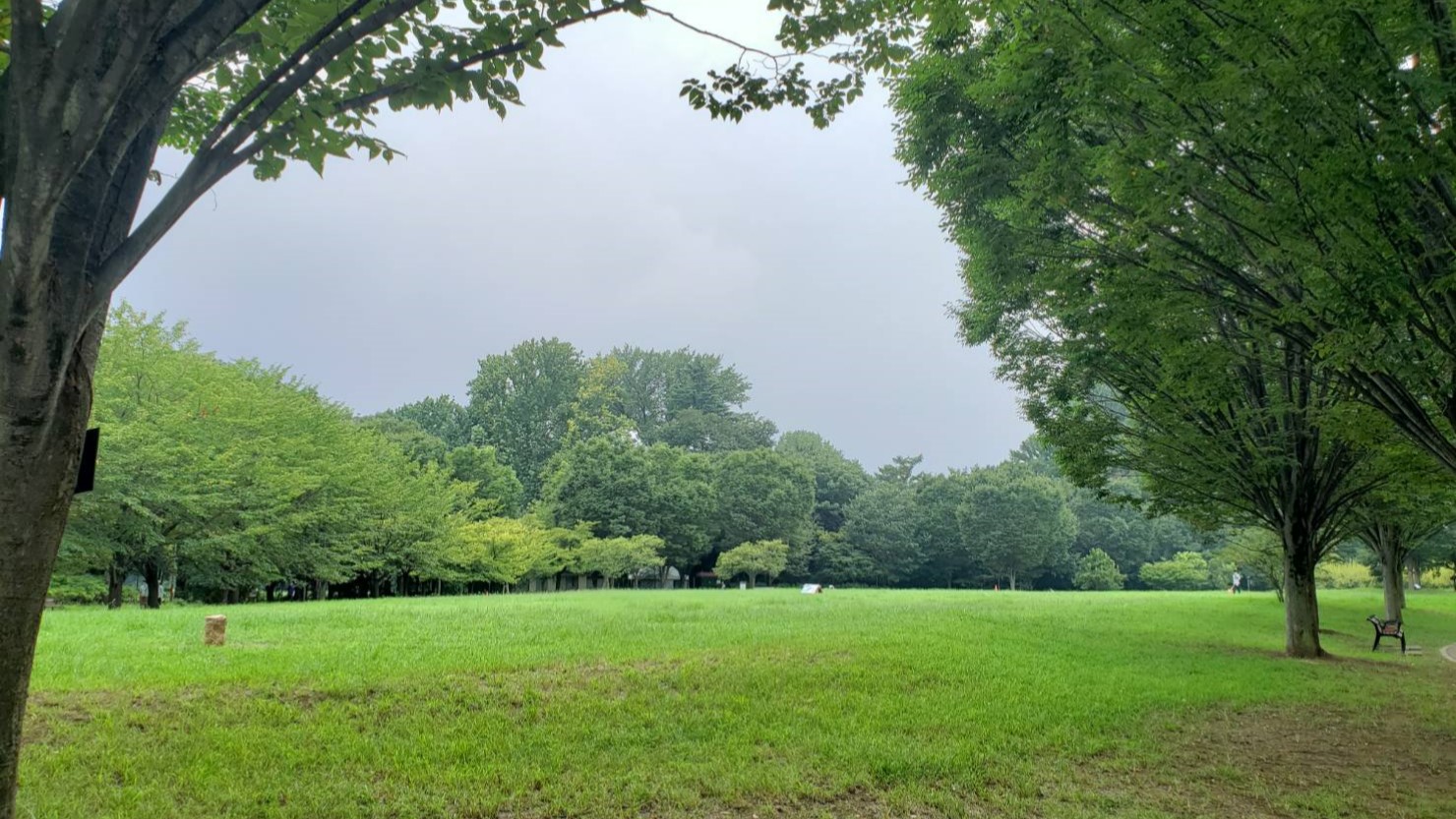 西東京いこいの森公園