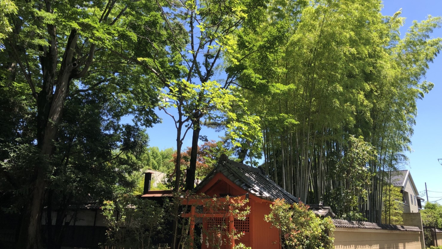 武蔵一宮氷川神社