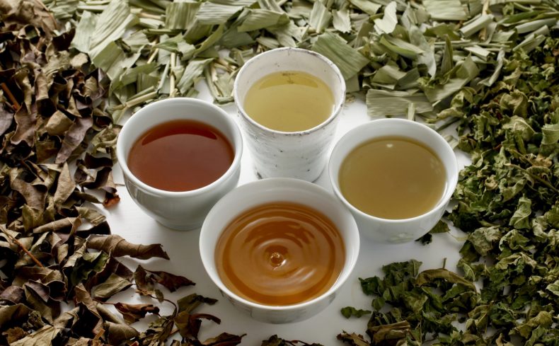 意外と簡単！【野草茶の作り方とコツ】心と身体をいたわるボタニカルライフの楽しみ