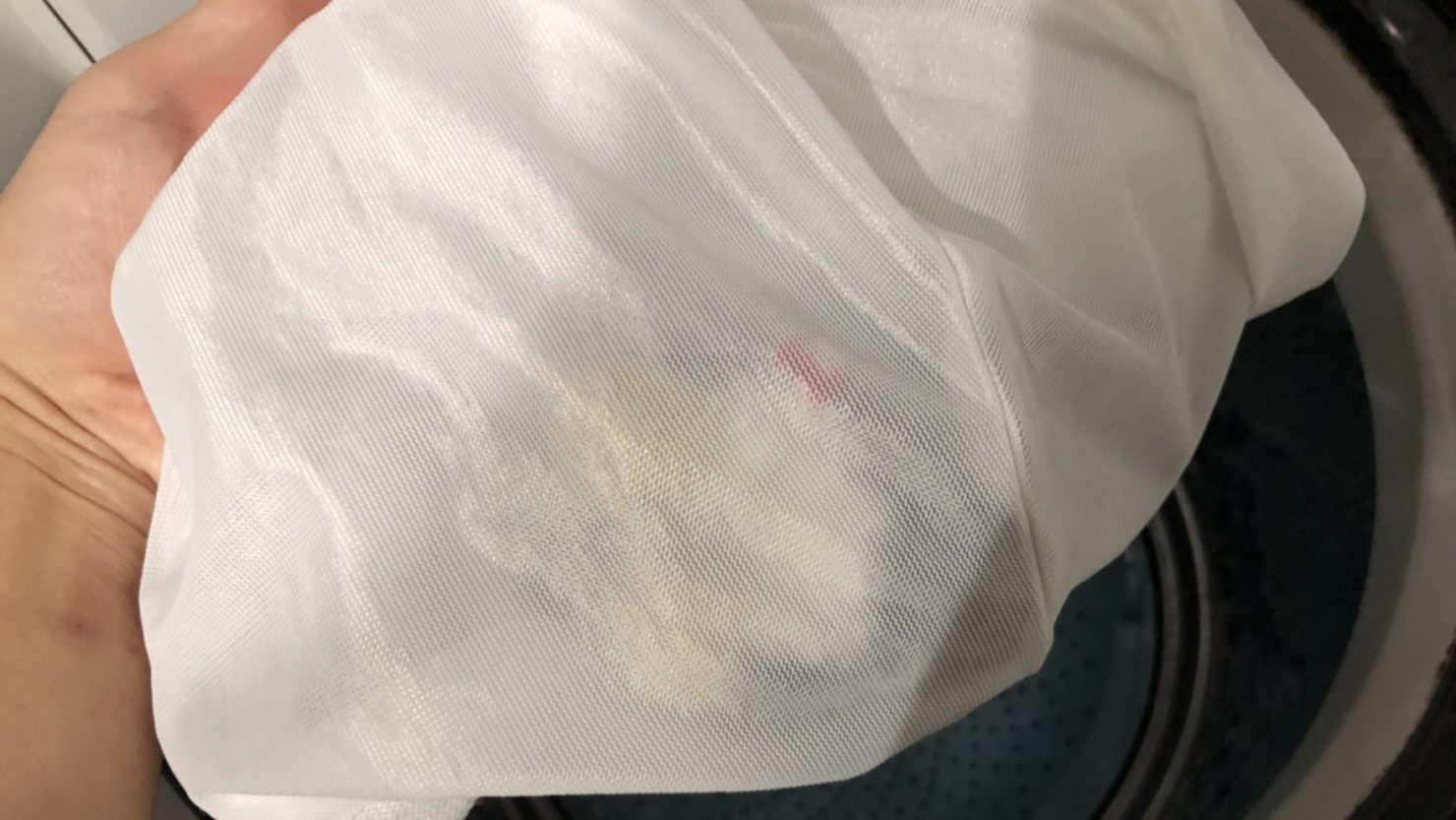 洗濯ネットに入れられたぬいぐるみ