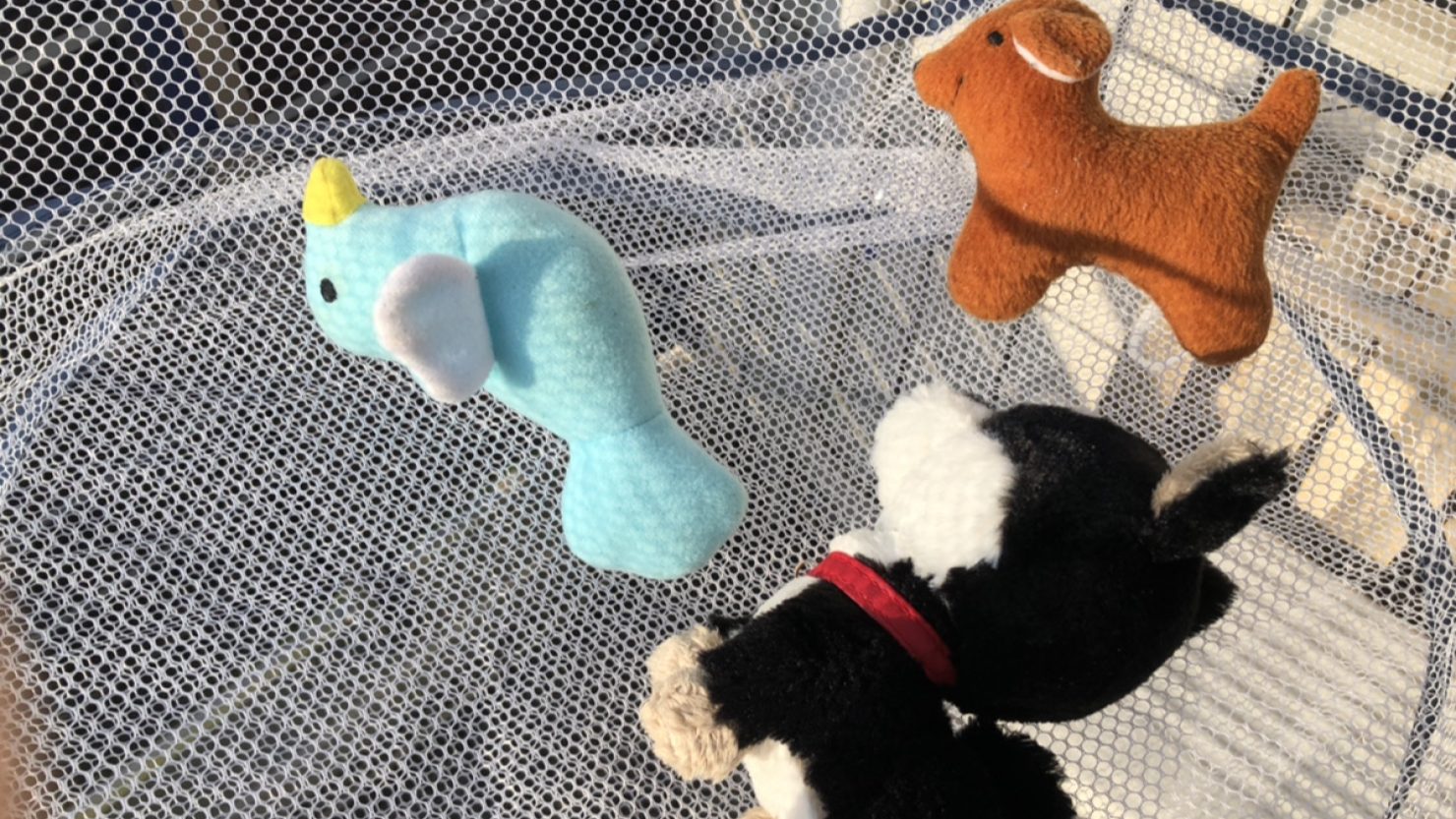 天日干しをしているぬいぐるみ