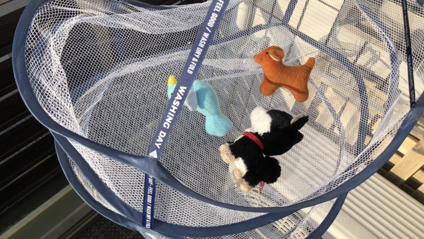 わが家で愛用している平干しネット