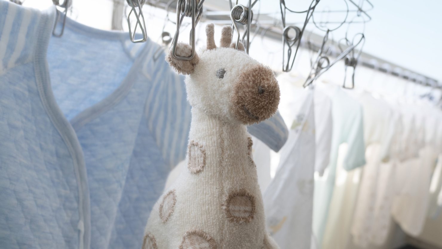 干されているぬいぐるみ