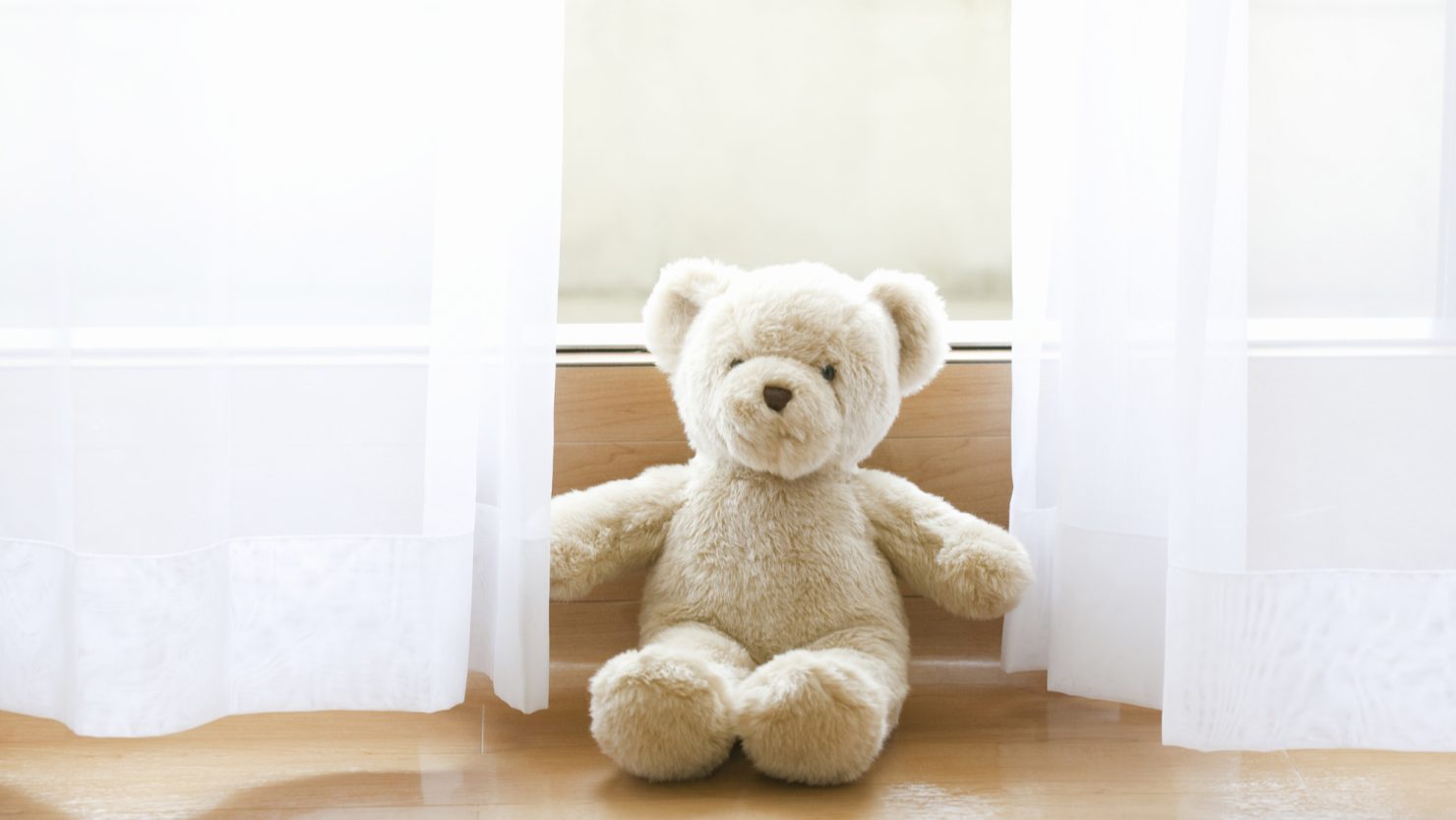 飾られているぬいぐるみ