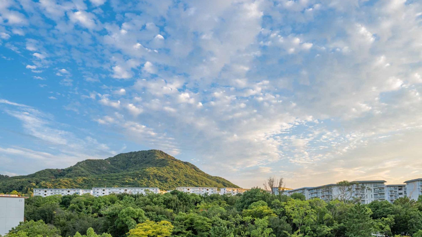 妙法寺駅周辺の自然