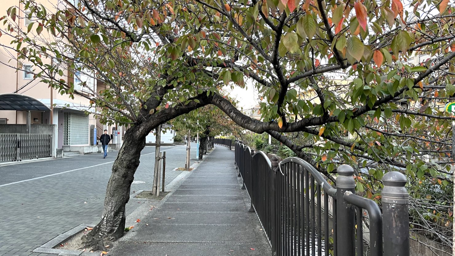 下町感溢れる駅前の街並みとは、ひと味違う雰囲気